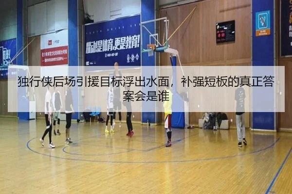 独行侠后场引援目标浮出水面，补强短板的真正答案会是谁